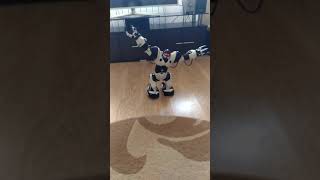 Интерактивный робот wowwee robosapien