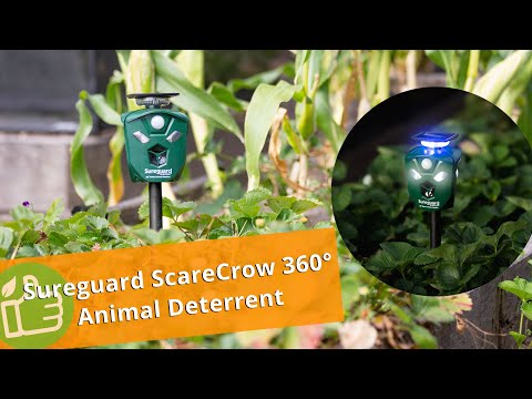 Sureguard ScareCrow 360° - Animal Deterrent
