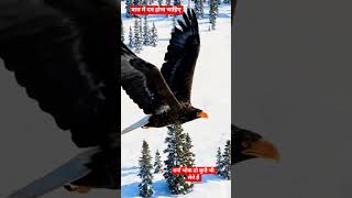 Attitude # Motivational Viral @6 m View