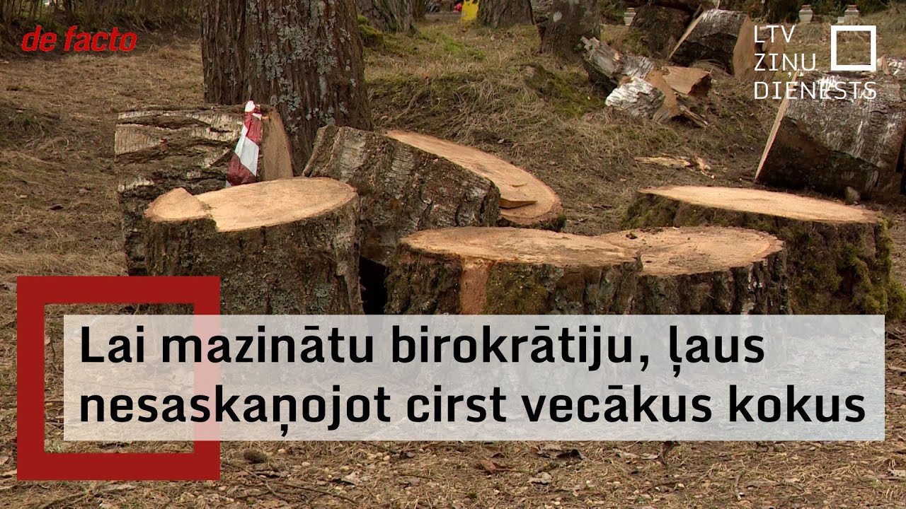 Zemkopības ministrija plāno paplašināt privātīpašnieku iespējas cirst kokus