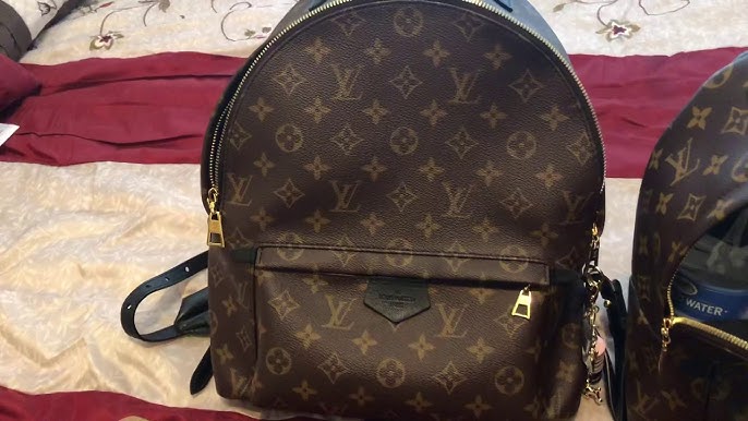 Louis Vuitton Palm Springs PM Backpack – Shop with Stevi