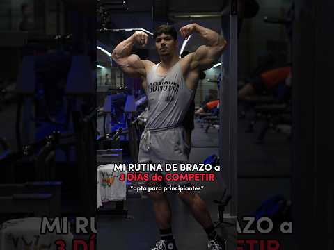 RUTINA de BRAZO para PRINCIPIANTES e INTERMEDIOS 💪🏻 #fitness #gym #athlete #gymmotivation #rutina