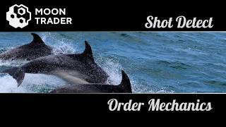 Moontrader Shot Detect Algorithm. Part II. Order Mechanics