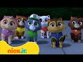 PAW Patrol Pups Discover Space Rock EGGS! | PAW Patrol | Nick Jr. UK