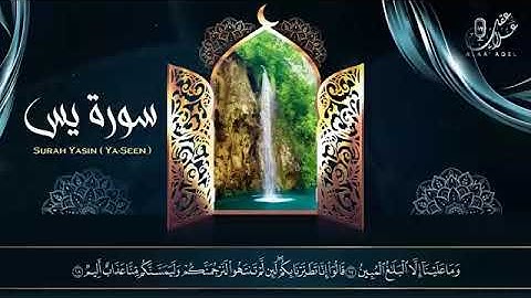 تلاوه هادئة تریح القلوب والعقول بصوت القارئ علاء عقل (سورة يس ــ سورة الرحمن ـ سورة الواقعه ـ الملك