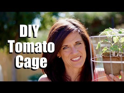 making-a-diy-tomato-cage---sturdy,-easy-and-cheap-//-$10-garden-series-#5,-season-2