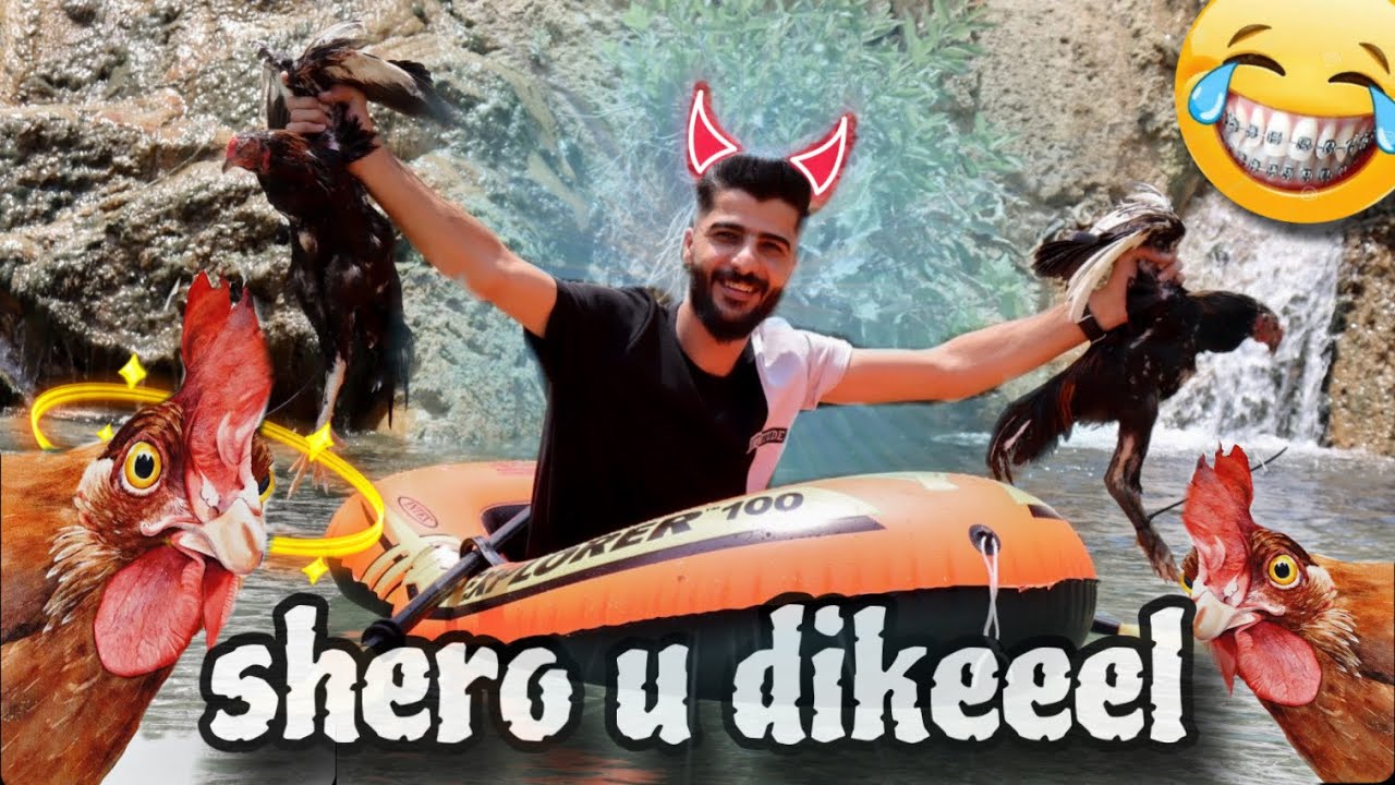 شيروي مالا ديكلا خراب كر 🤣🤣 VLOG-Galiye gara go