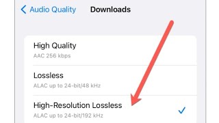 How to download Lossless audio for free🎵🎵
