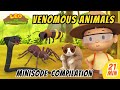 Venomous Animals Minisode Compilation - Leo the Wildlife Ranger | Animation | For Kids