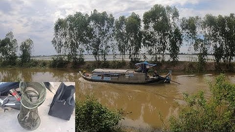 Cùng TEAM Về Miền Tây Câu Ếch Giáp Biên Giới Campuchia | Toàn Ếch Ngon | Mồi Dế | Long CD Fishing