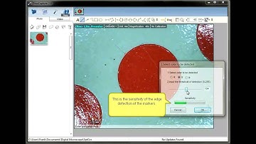 3 Point Circle Auto Measurement Tutorial ~with English audio