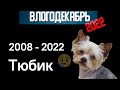 Тюбик R.I.P - Влогодекабрь 2022