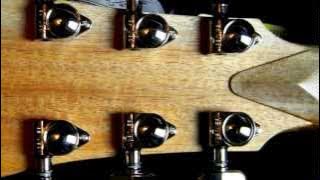 Cole Clark Fat Lady Acoustic Guitar FL1 - Demo #2