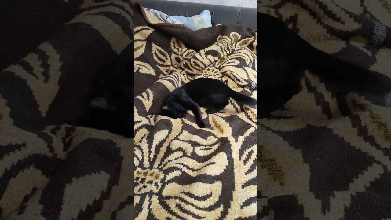 А есть это у нас тут дурачится? ) 