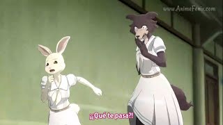 Juno conoce a Haru - BEASTARS CAPITULO 12