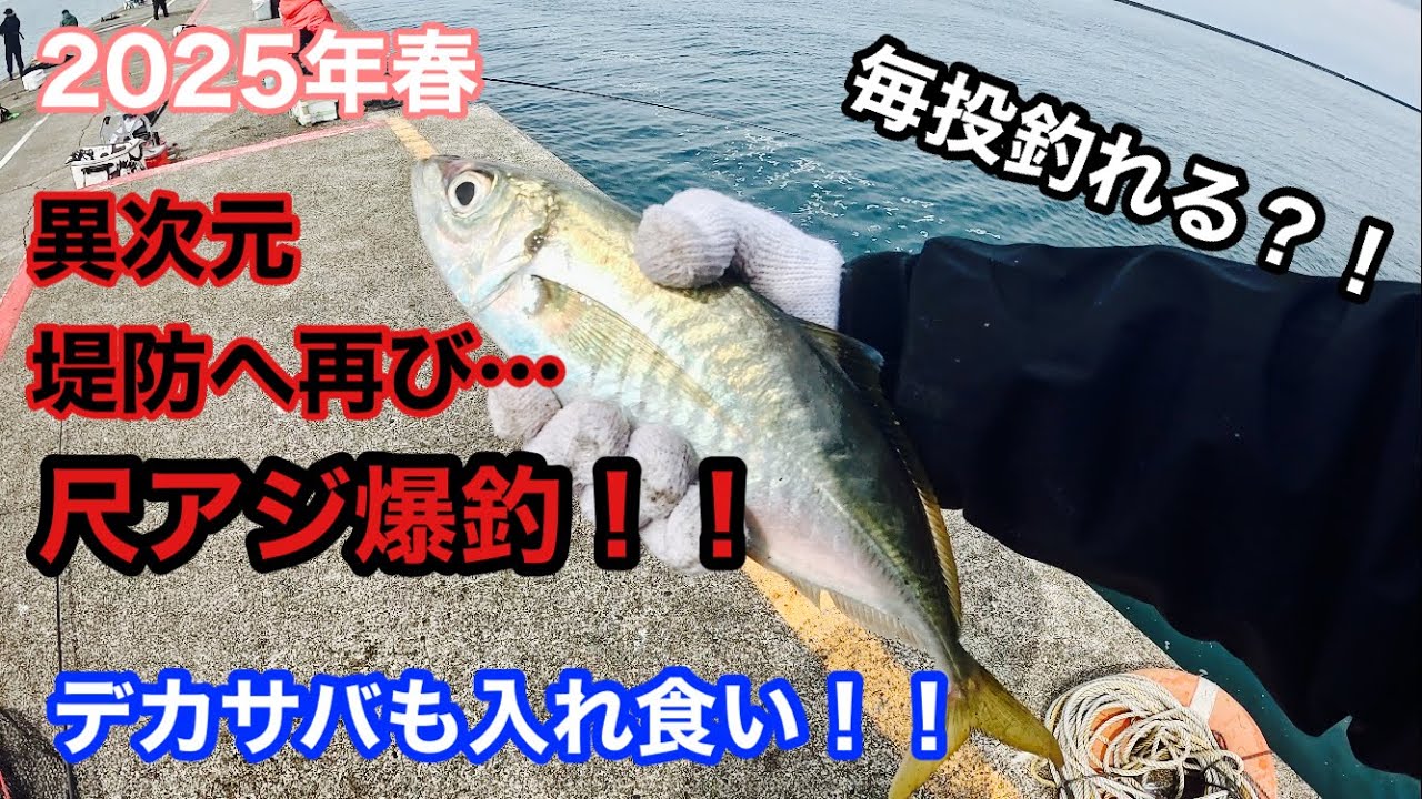 尺アジ、ギガアジ、デカサバが毎投釣れる！！異次元堤防へ…【2025年3月】直江津港第3東防波堤