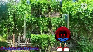 (LITTLE LOUD/YTPMV) Leaves Scan