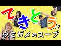 【カードゲームには】社長謹製!適当ウミガメのスープ【載せられない】