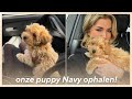 DIT IS TE LIEF... WELKOM THUIS NAVY // weekvlog 11 ࿎ Jade Anna image