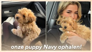 DIT IS TE LIEF... WELKOM THUIS NAVY // weekvlog 11 ࿎ Jade Anna image