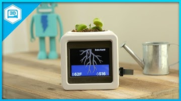 Smart IOT Pet Planter