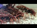 結果より大きな財産