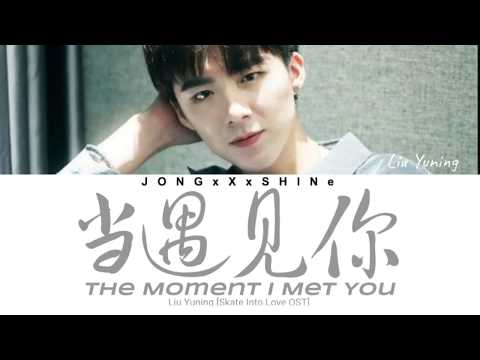 刘宇宁(Liu Yuning) - 当遇见你 (The Moment I Met You) [冰糖炖雪梨OST] (Chi/Pinyin/Eng lyrics)