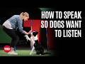 What My Dog Taught Me About Leadership: The Communication Secrets Behind Championship Dog Agility