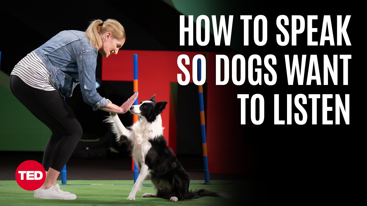 How to Communicate with Your Dog, from a Westminster Champion