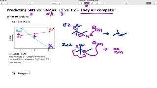 SN1 SN2 E1 E2 Competition
