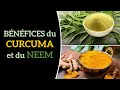 Bnfices du curcuma et du neem  isha yoga