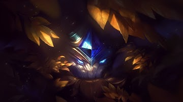 Maokai Support: It
