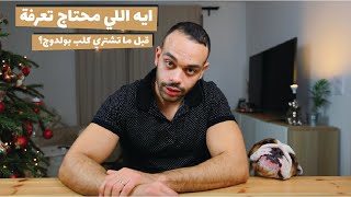 ايه اللي محتاج تعرفة قبل ما تشتري كلب بولدوج؟