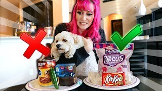 MY DOG DECIDES WHAT I EAT FOR 24 HOURS CHALLENGE!!