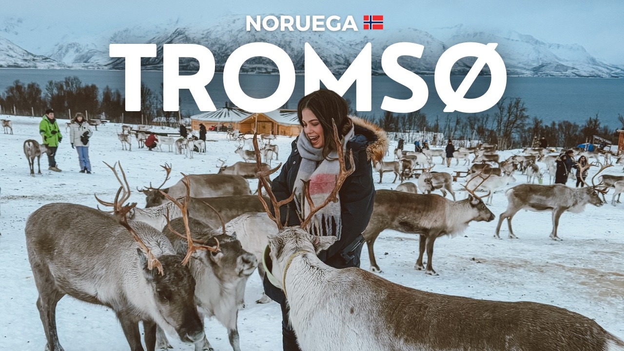 Conhecendo TROMSO na NORUEGA | A Capital do Ártico além da Aurora Boreal