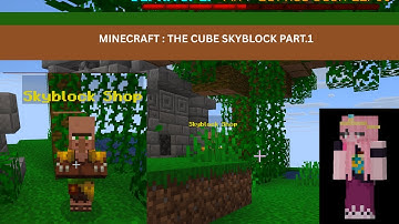 MINECRAFT THE CUBE- SKYBLOCK PART 1