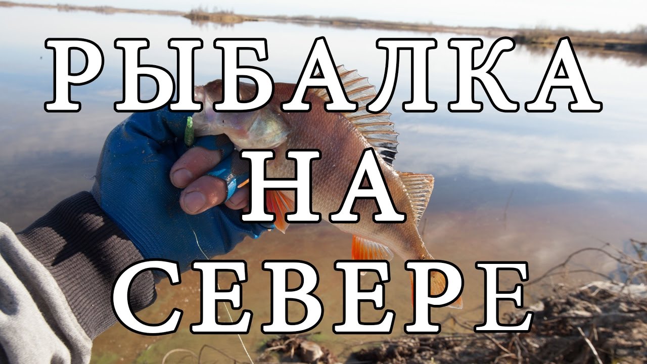 Рыбалка на Севере, Нижневартовск