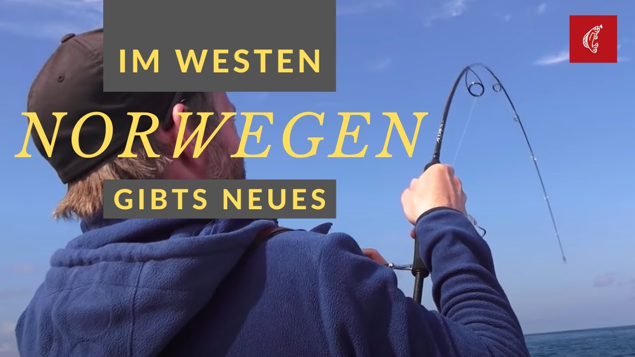 Spinnrute norwegen küste Clearance