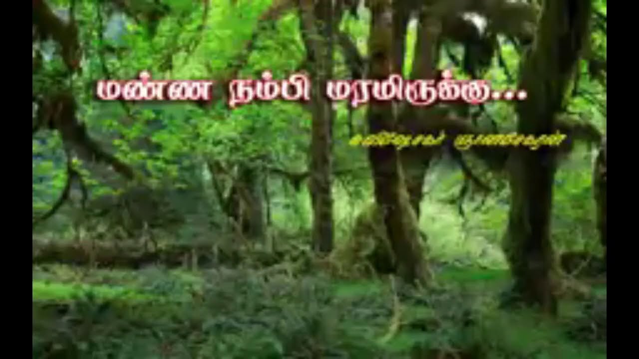 Manna nambi maram SONG