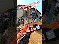 Amazing Super Double Dog Catch #best #double #dogwithpublicsafety #dog #ytshorts