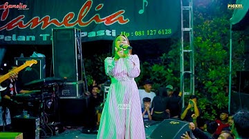 CAMELIA MUSIC - TENDA BIRU EVA AQUILA - WEDDING PARTY RIO & RIRIS - CLUWAK