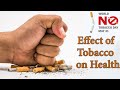 Effect of Tobacco I World No Tobacco day I quit smoking