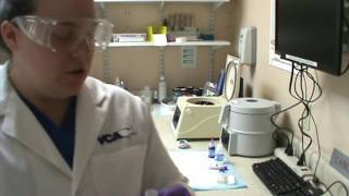 VETT 222- Task 8 (Part 2)