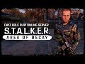 S.T.A.L.K.E.R.: Area Of Decay (DayZ RP) ☢ 3x42 - Валькирии