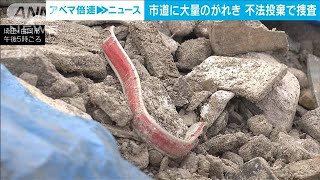 市道に解体廃材を不法投棄か　2カ所で道ふさぎ警察が捜査　埼玉・白岡市(2024年4月22日)