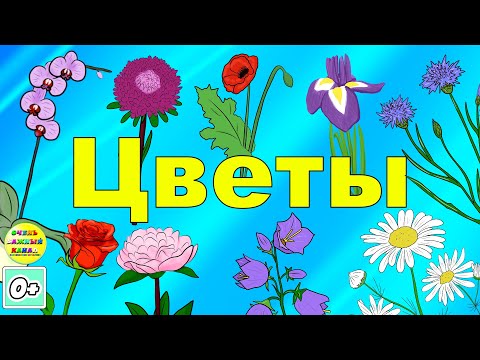 Видео: Учим цветы. Развивающий мультфильм для детей.