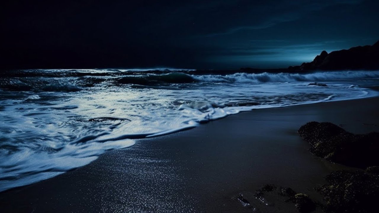 Don't Use Sleep Apps Until You Try These OCEAN NIGHT Sounds