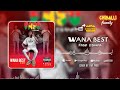 WANA BEST - FASO DJANFA Mp3 Song