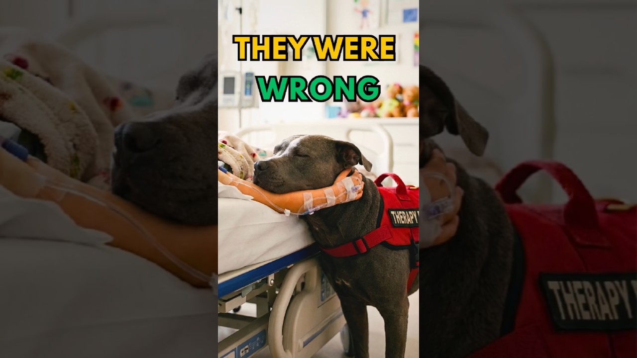 They Call Him A Beast, But......🥺