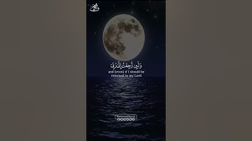 سورة فصلت - لا يسأم الإنْسَانُ مِنْ دُعَاءِ الْخَيْرِ - حلات اسلامية
